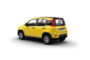 Fiat Panda  Pandina 1.0 firefly hybrid s&s 70cv 5p.ti